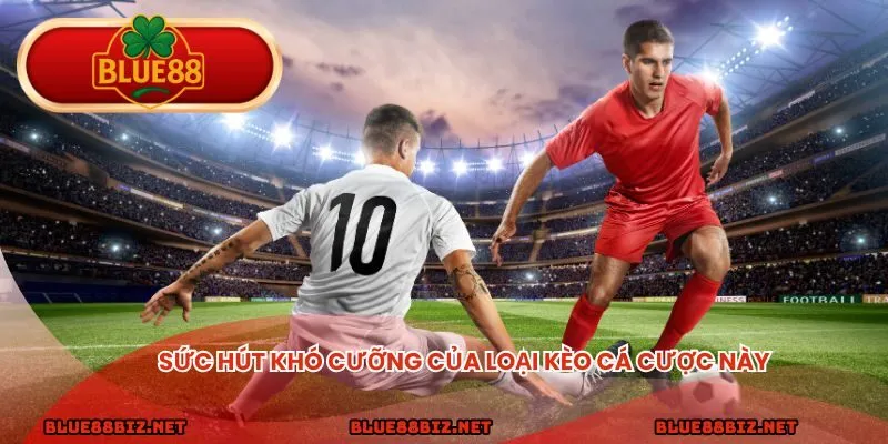 Sức hút khó cưỡng của loại kèo tài xỉu